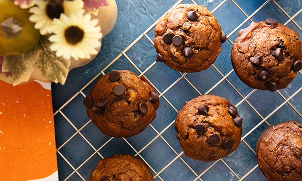 Pumpkin Chocolate Chip Muffins